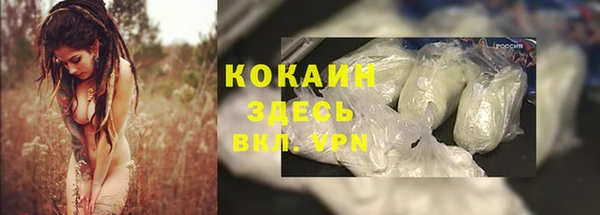 бошки Алзамай