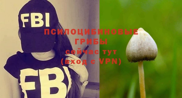 apvp Алексин