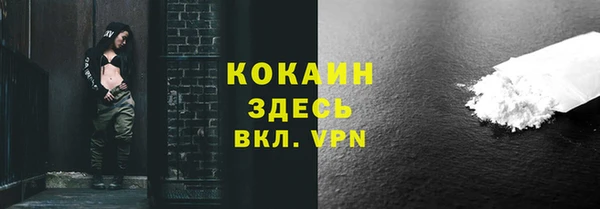 apvp Алексин