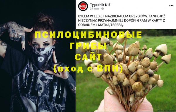 apvp Алексин