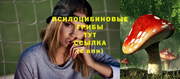 бошки Алзамай