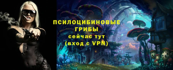 скорость Арсеньев