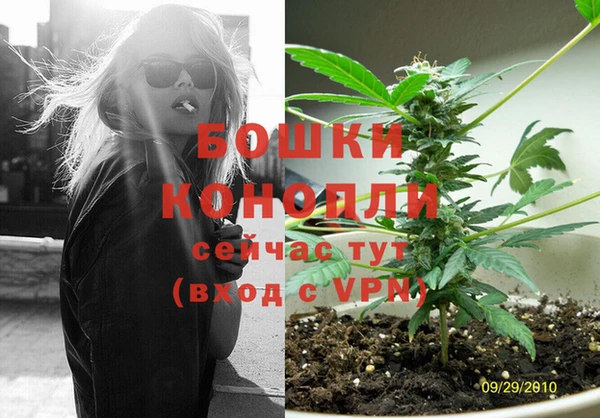 бошки Алзамай