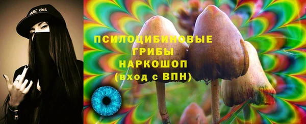 бошки Алзамай